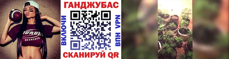 Каннабис семена  где купить   Щёкино 